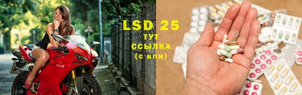 ECSTASY Бородино