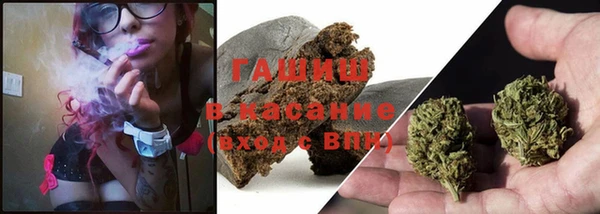 ECSTASY Бородино