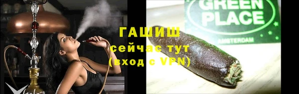 ECSTASY Бородино