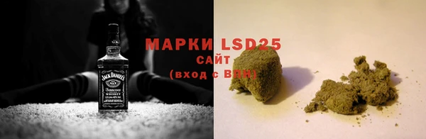 ECSTASY Бородино