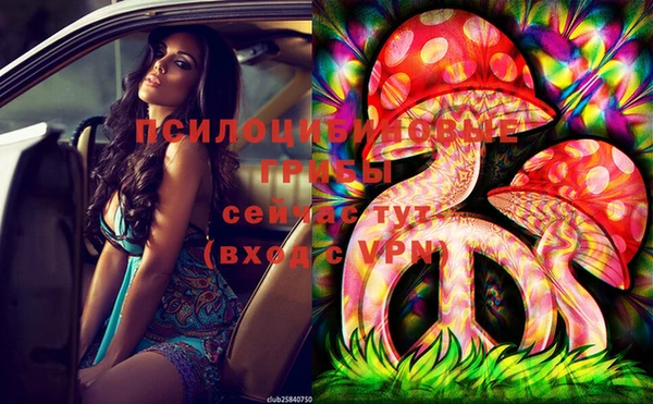ECSTASY Бородино