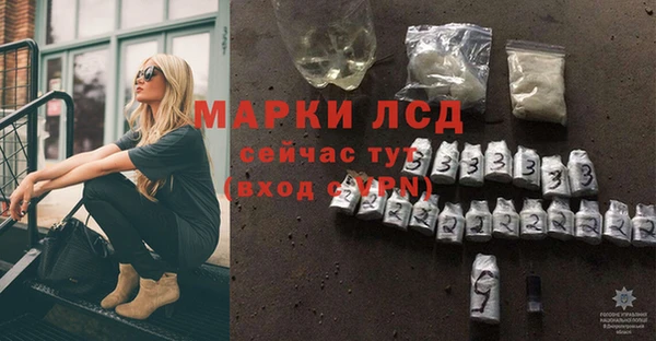 ECSTASY Бородино