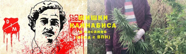 ECSTASY Бородино